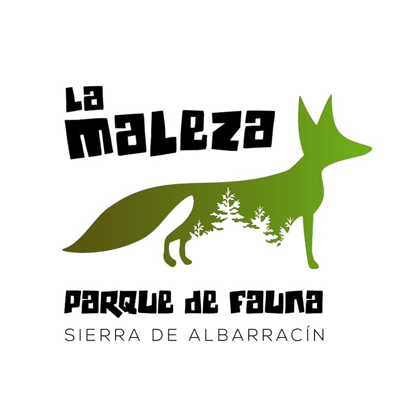 La-Maleza-1-