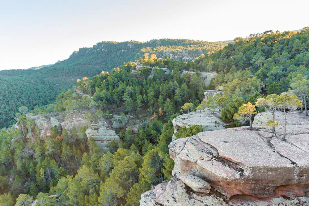 pinares-del-rodeno-gea-de-albarracin-2